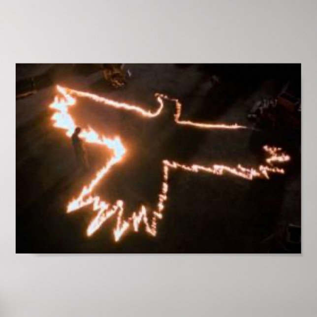 Der CROW Fire Bird Poster (Vorne)