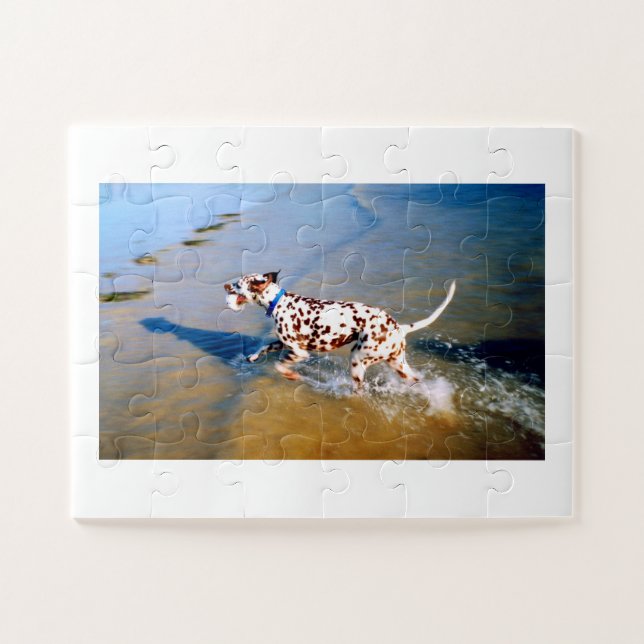 Der dalmatinische Hund (Horizontal)