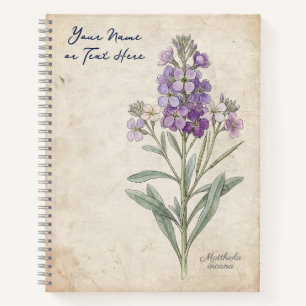 Der Dämmerungsduftspender: Matthiola Incana Botani Notizbuch