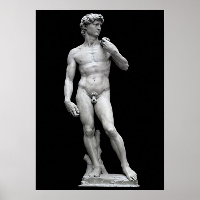 DER DAVID POSTER (Vorne)