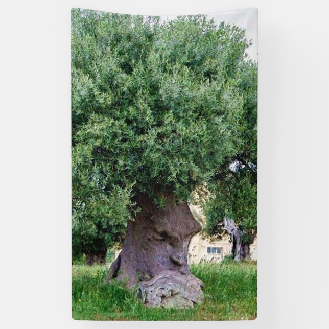 Der Denkbaum in Pugia Banner (Vertikal)