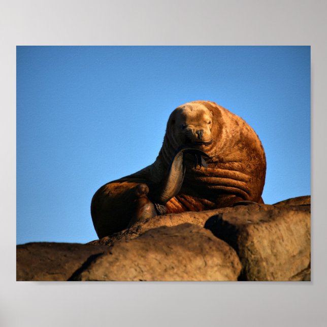 Der Denker - Fine Art Prints Poster (Vorne)
