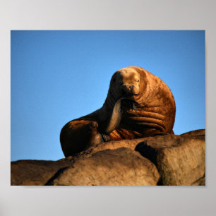 Der Denker - Kunstdrucke Poster