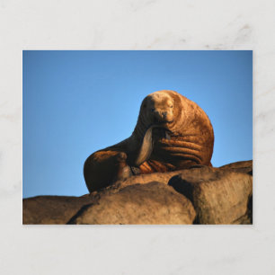 Der Denker Postkarte