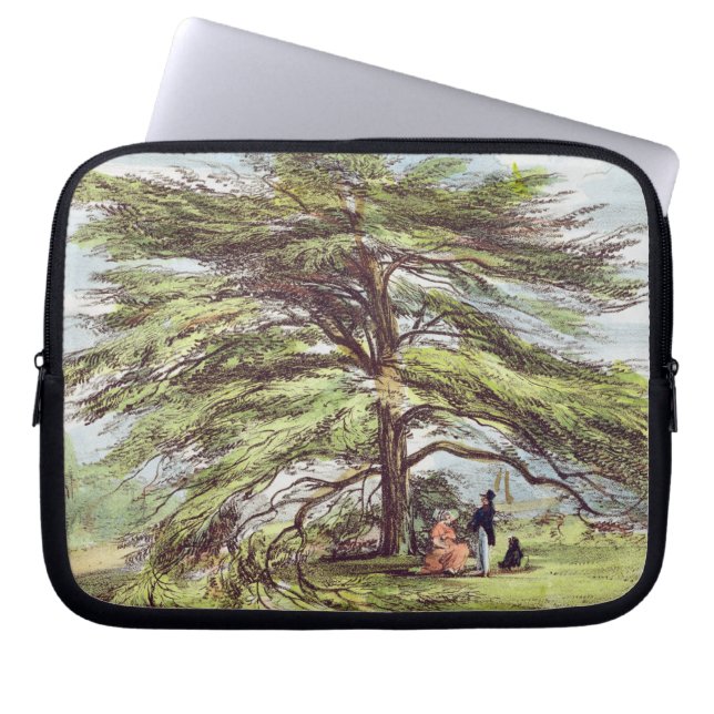 Der der Libanon-Zedern-Baum im Arboretum, Kew Laptopschutzhülle (Vorderseite)