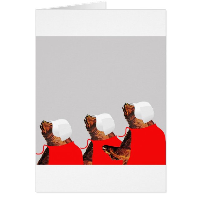 Der Des Bearmaids Schwanz (Vorne)
