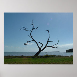 Der Dichterbaum Poster