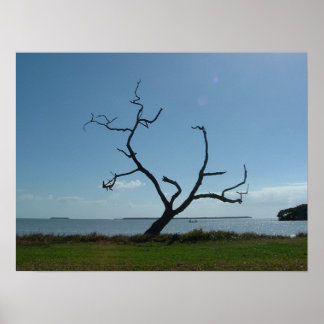 Der Dichterbaum Poster