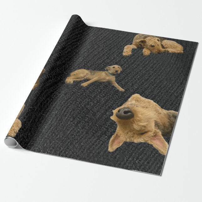 Der Dickköpfige Airedale-Wrapapier Geschenkpapier (Ungerollt)