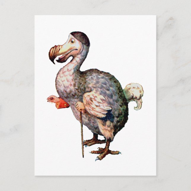 Der Dodo Bird Postkarte (Vorderseite)