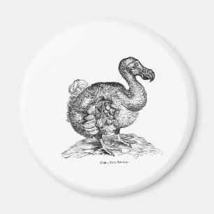 Der Dodo Magnet