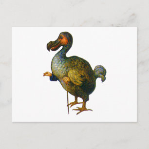 Der Dodo-Vogel Postkarte