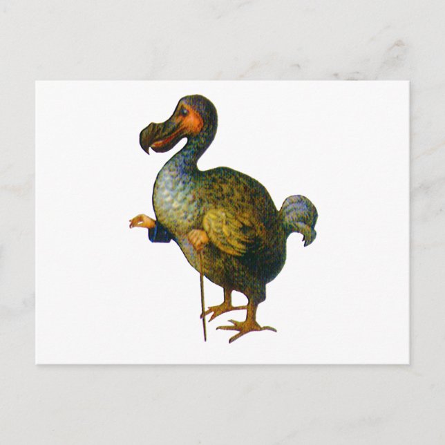Der Dodo-Vogel Postkarte (Vorderseite)