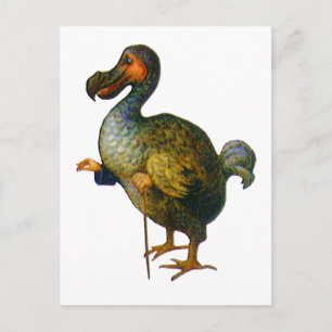 Der Dodo-Vogel Postkarte
