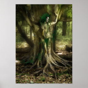 Der Dryad Poster