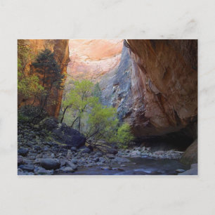 Der Eingang Postkarte