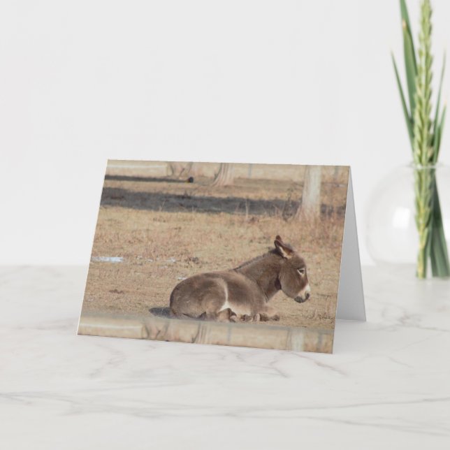 Der einsame Esel Karte (Vorderseite)