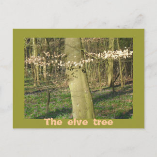Der Elfenbaum Postkarte