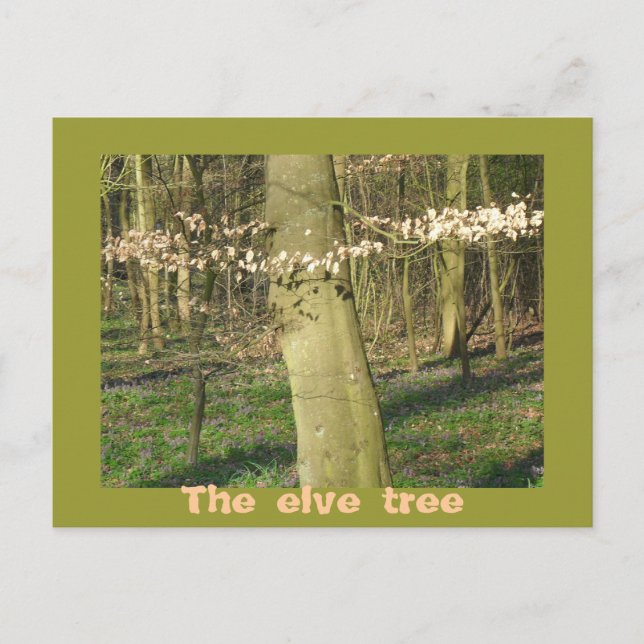 Der Elfenbaum Postkarte (Vorderseite)