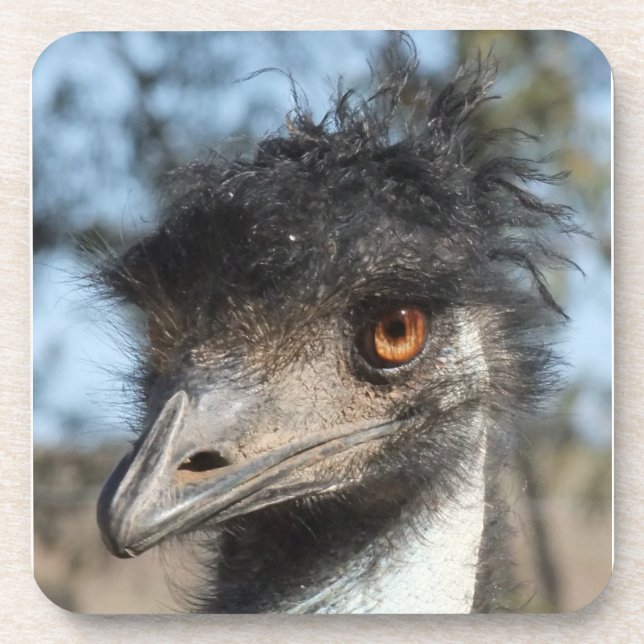 Der Emu Getränkeuntersetzer (Vorderseite)