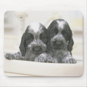 Der englische Cocker Spaniel ist eine Hunderasse.  Mousepad