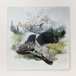 Der englische Pointer