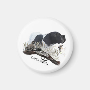 Der englische Pointer Magnet