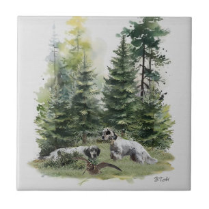 Der englische Setter , Die Jagd auf die Woodcock , Fliese