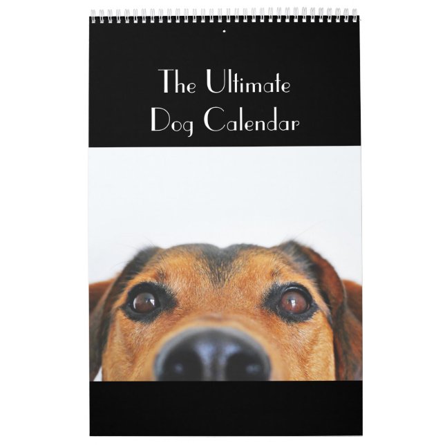 Der entscheidende Hundekalender Kalender (Titelbild)