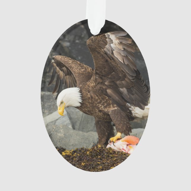 Der entscheidende Weißkopfseeadler Ornament (Rückseite)