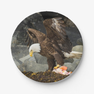 Der entscheidende Weißkopfseeadler Pappteller