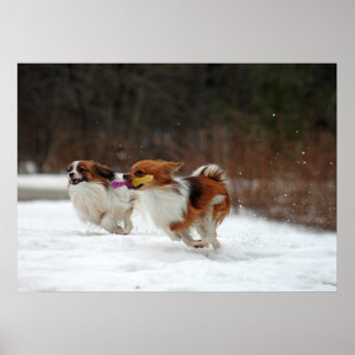 Der erste Wintertag 2012 Poster