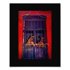 Der Escape-Plan Fotodruck