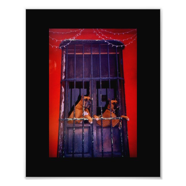 Der Escape-Plan Fotodruck (Vorne)