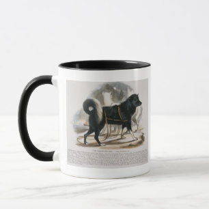 Der Esquimaux Hund (Canis familiaris) Tasse