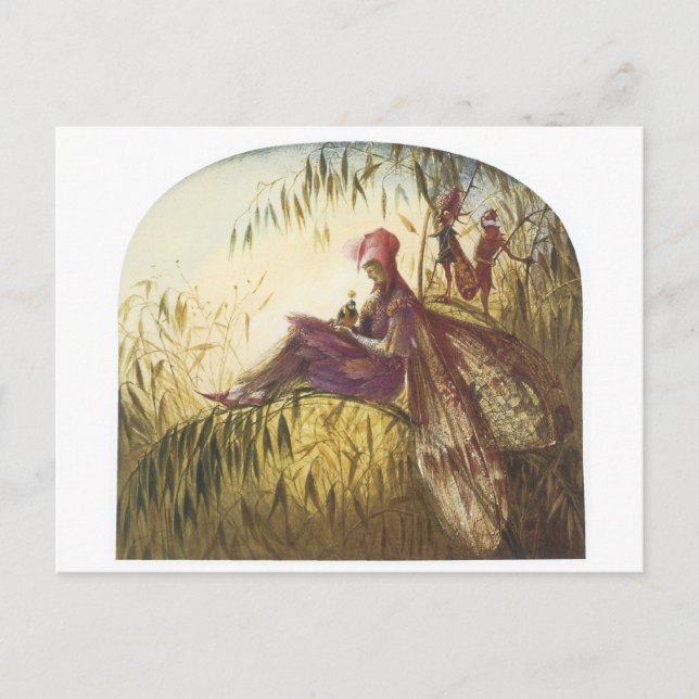 Der Fairy Falconer Bird Postkarte (Vorderseite)