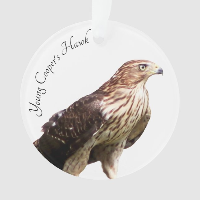 Der Falke des jungen Fassbinders Ornament (Vorderseite)