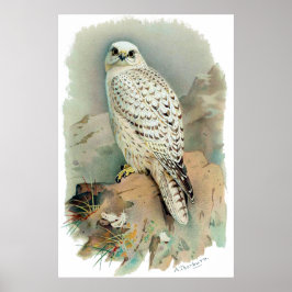 Der Falke Poster