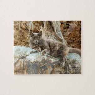 Der Fall Cat Pillow
