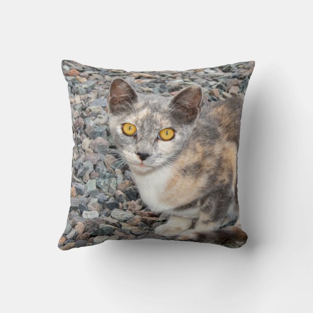 Der Fall Cat Pillow Kissen (Rückseite)