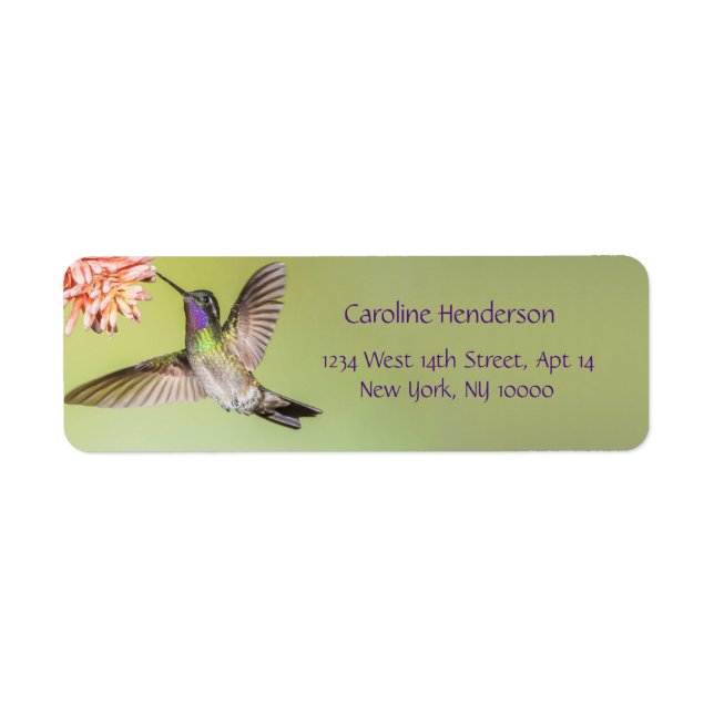 Der farbenfrohe Hummingbird fliegt zu einer Blume (Vorne)