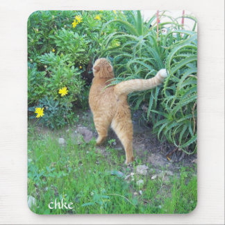 Der Favorit des Viertels Mousepad