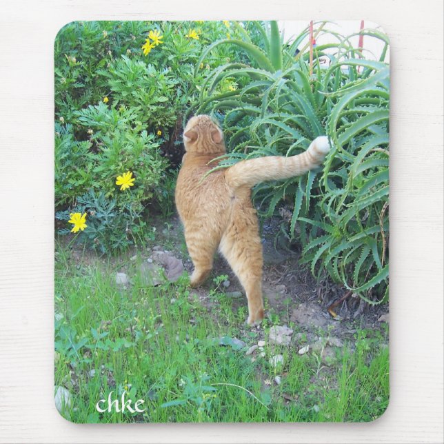 Der Favorit des Viertels Mousepad (Vorne)