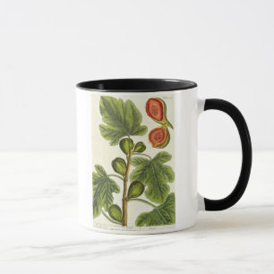 Der Feigenbaum, überziehen 125 von "einem Tasse