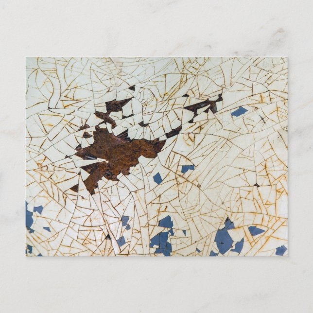 Der Fender Craze Postkarte (Vorderseite)