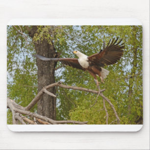 Der Fischadler fliegt, Botswasna. Mousepad