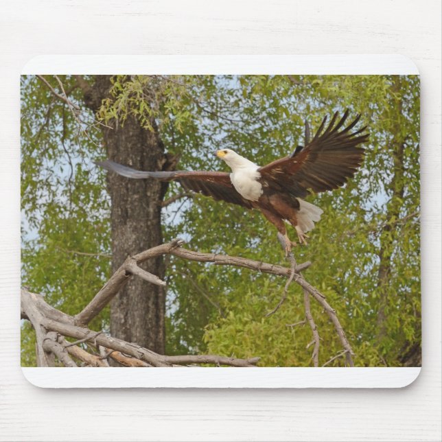 Der Fischadler fliegt, Botswasna. Mousepad (Vorne)