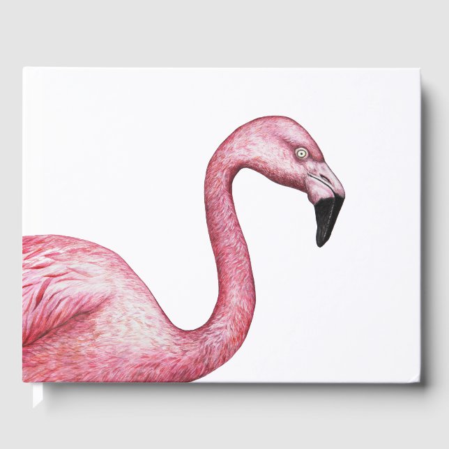 Der Flamingo Gästebuch (Vorderseite)
