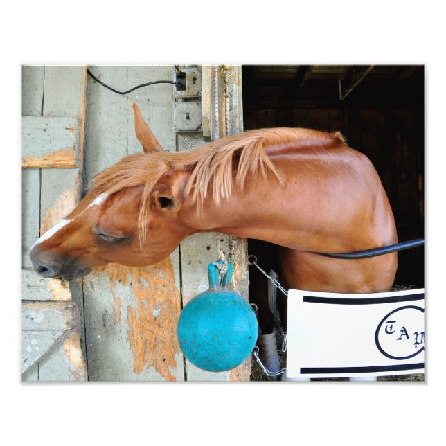 Der Flaxen "All Inclusive" Fotodruck (Vorne)