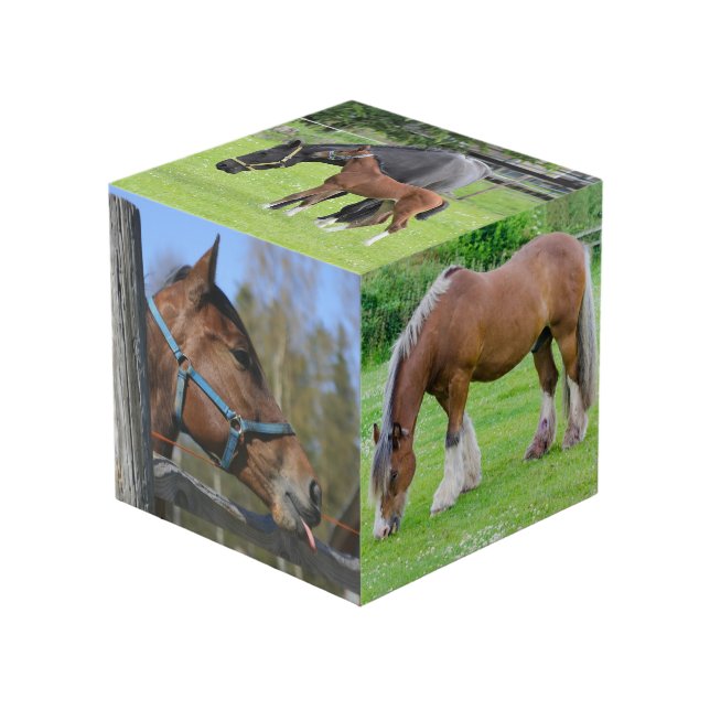 Der Foto-Würfel von Horse Lover Würfel (Vorderseite Schrägansicht)